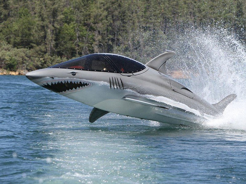 زورق Seabreacher ... مواصفات راقية وشبابية